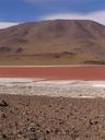 The amazing Laguna Colorado -- strikingly red in color!